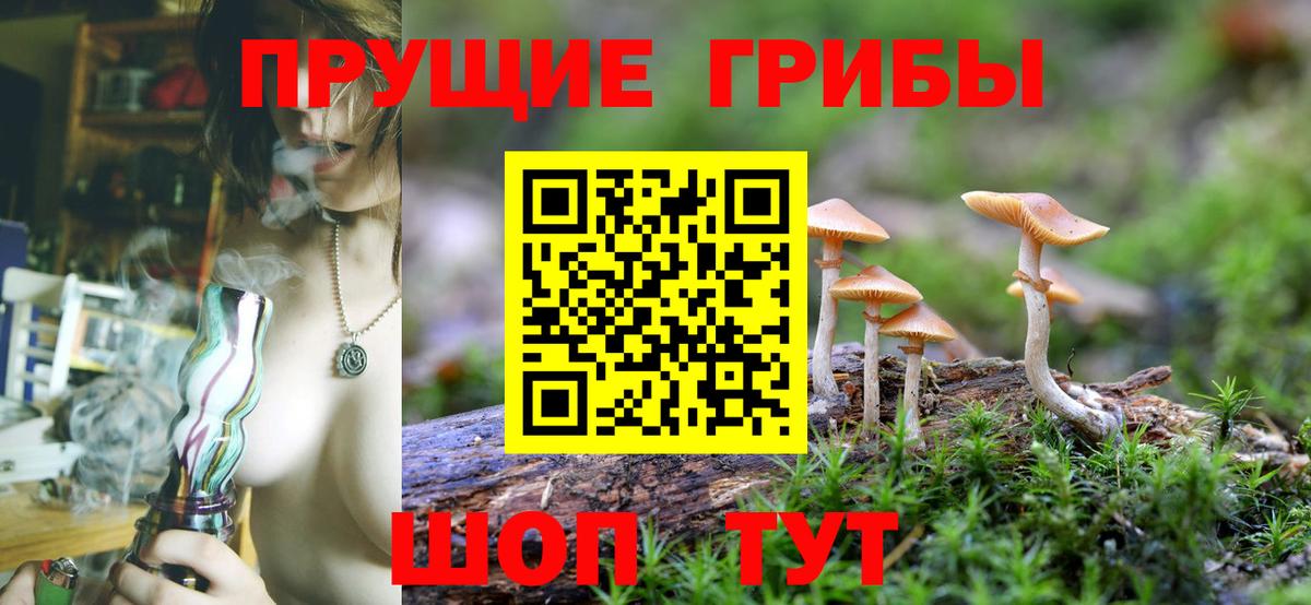 Псилоцибиновые грибы ЛСД Киселёвск